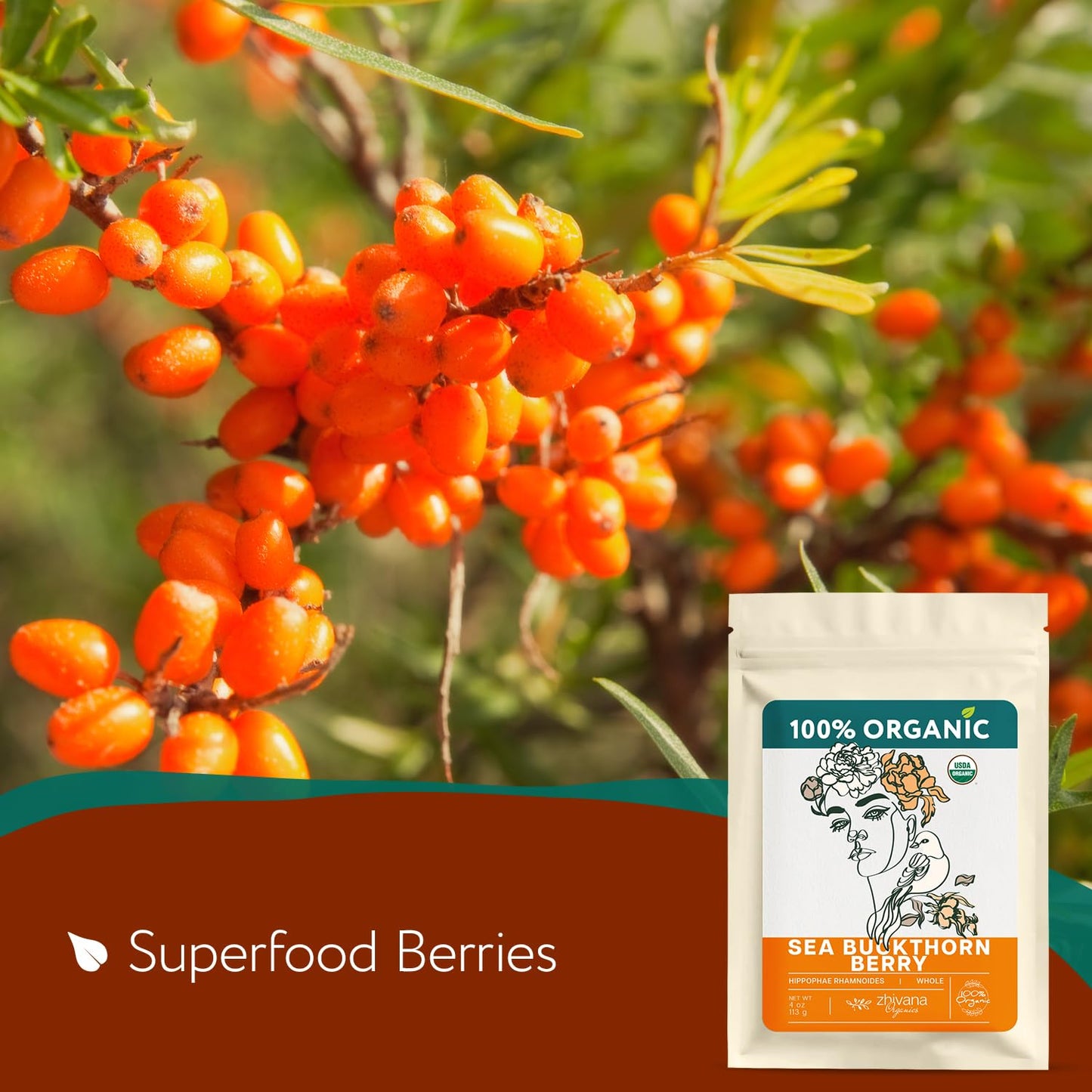 Organic Dried Sea Buckthorn Berry - 5 LB - Zhivana Organics