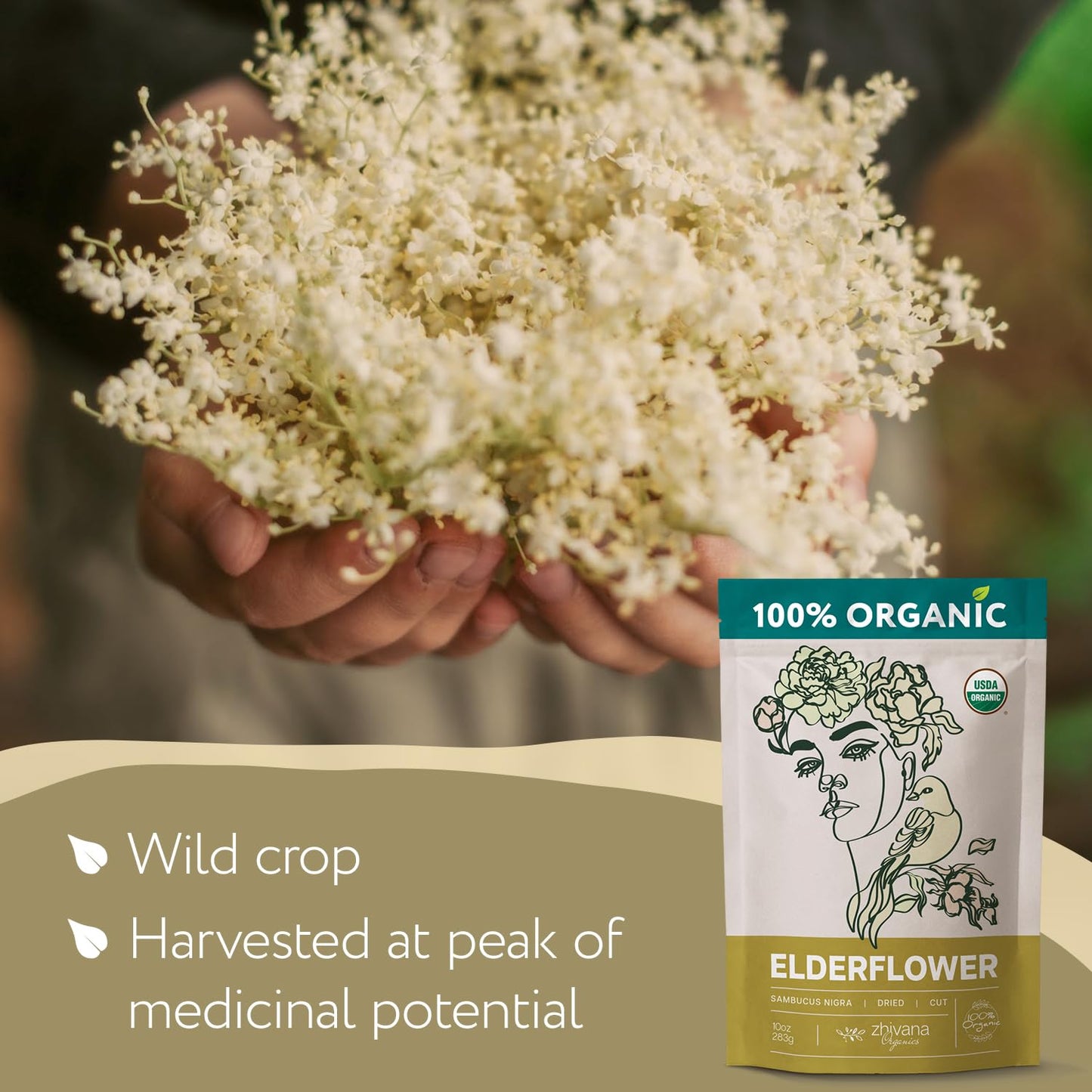 Organic Elderflower Tea - 5 LB - Zhivana Organics