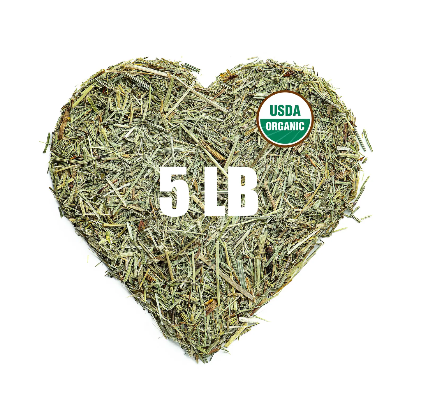 Organic Horsetail (Equisetum arvense) – 5 lb Bulk - Zhivana Organics