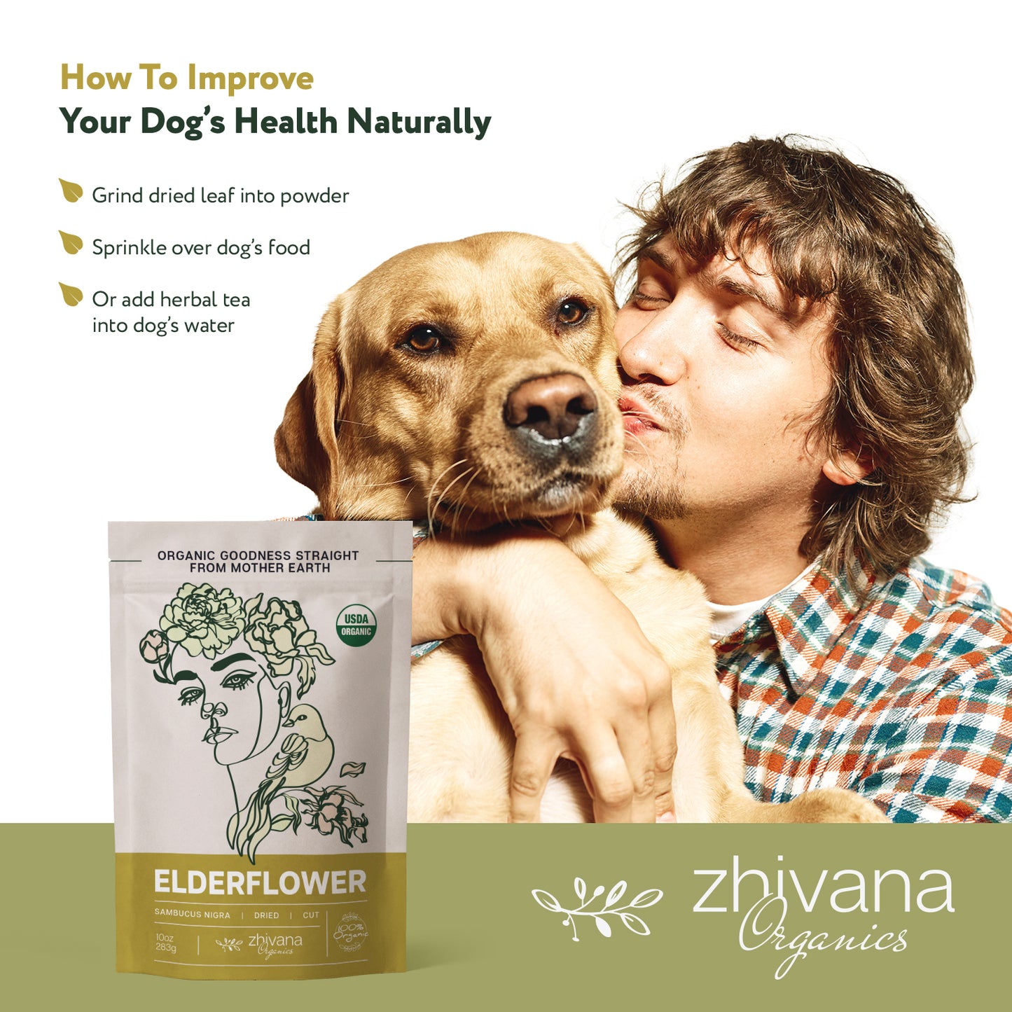 Elderflower Dried Cut & Sifted - Zhivana Organics