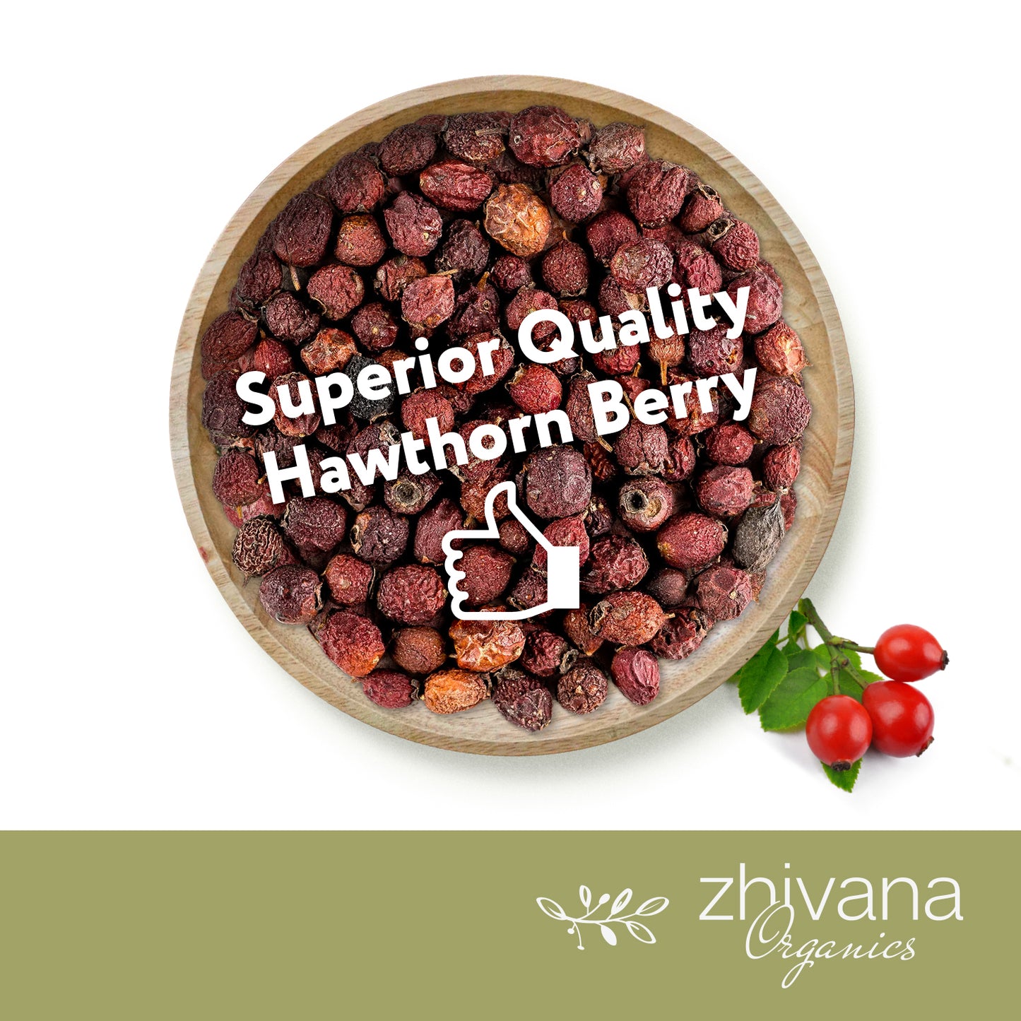 Hawthorn Berry Dried - Zhivana Organics