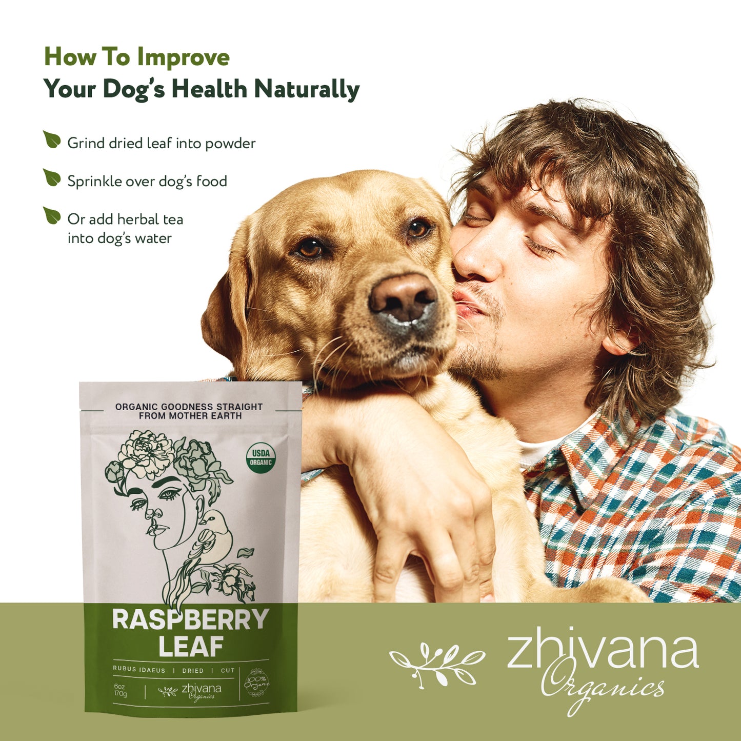 Raspberry Leaf Dried Cut & Sifted - Zhivana Organics