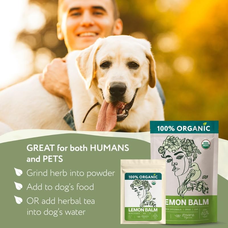 Organic Dried Lemon Balm Tea - 4 oz - Zhivana Organics