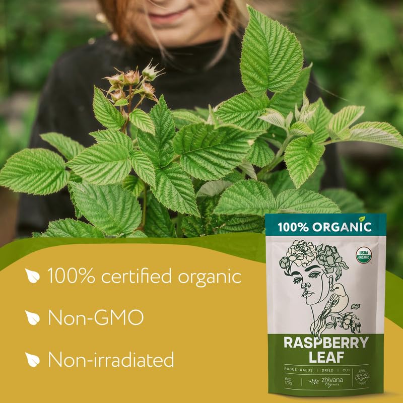 Organic Red Raspberry Leaf Tea Dried Cut & Sifted - 6 oz - Zhivana Organics