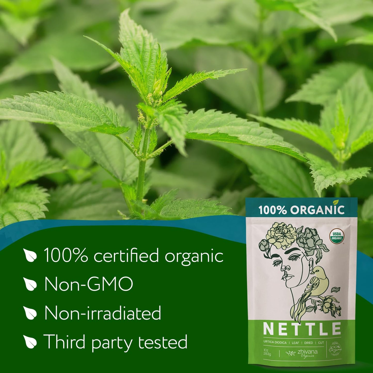 Organic Nettle Leaf Dried Cut & Sifted - 8 oz - Zhivana Organics