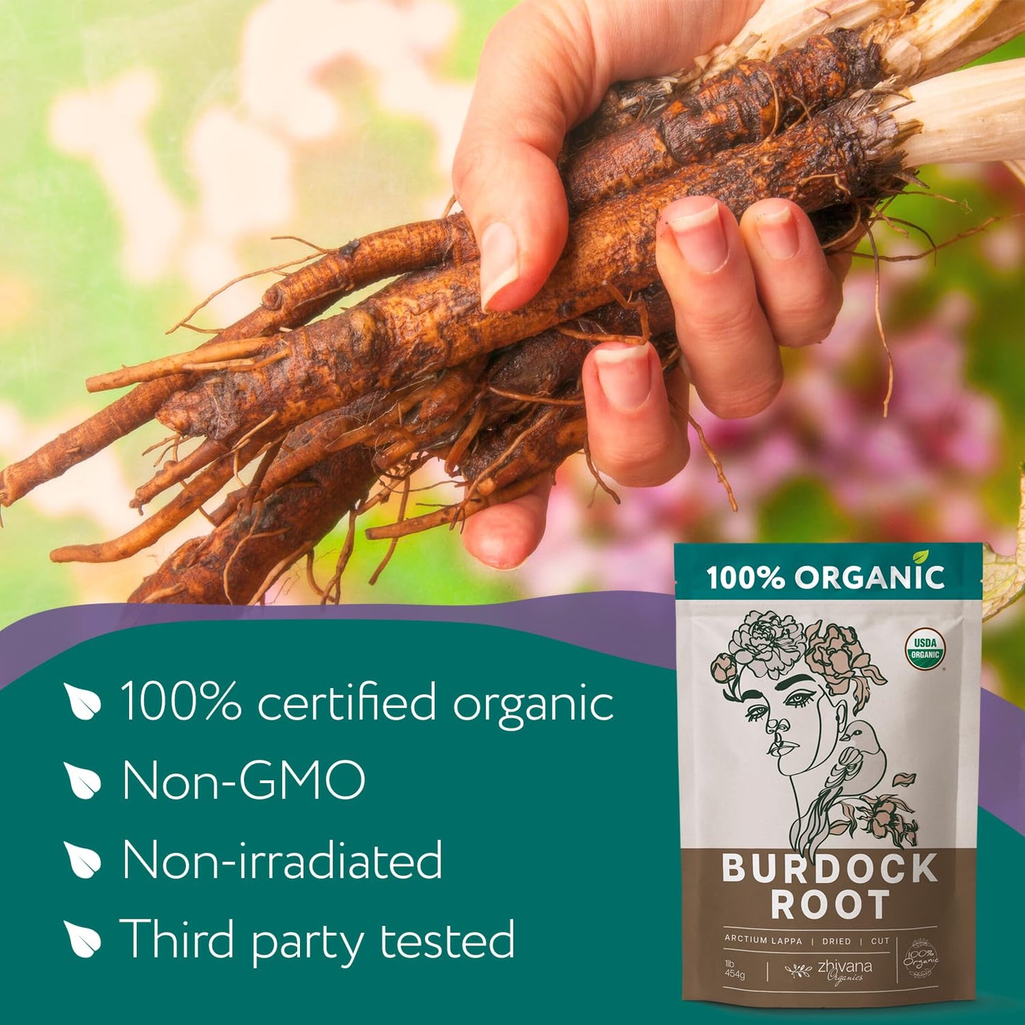 Organic Burdock Root Dried Cut & Sifted - 1 LB