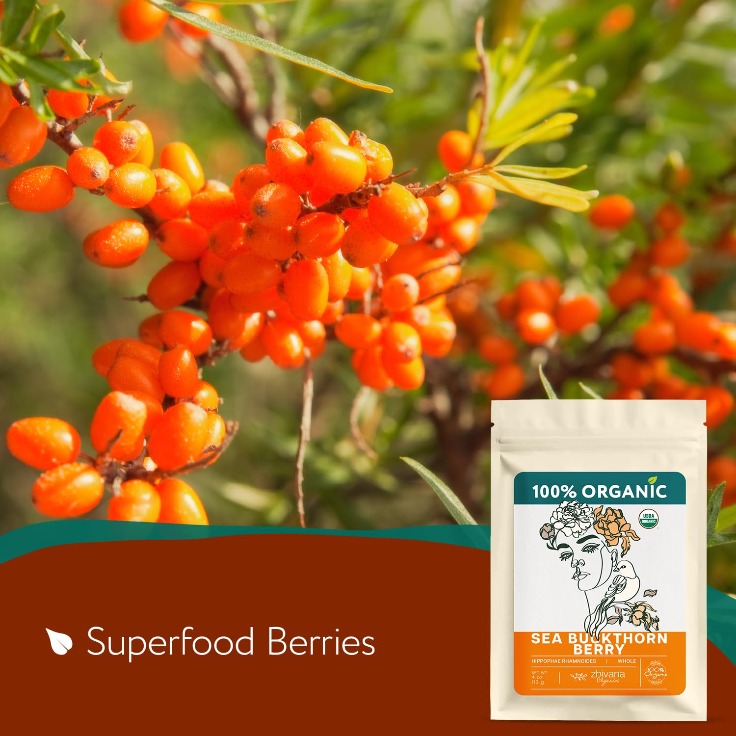 Organic Dried Sea Buckthorn Berry - 4 oz - Zhivana Organics