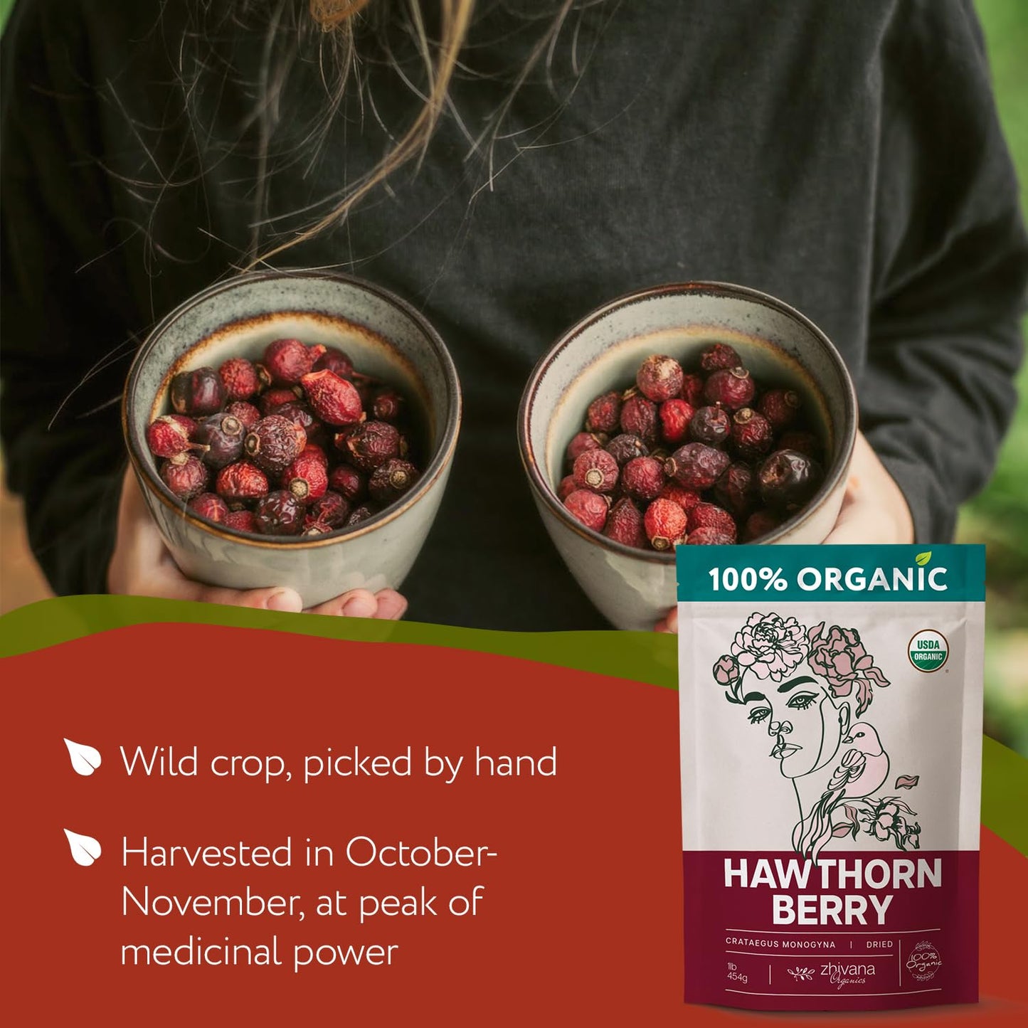 Organic Hawthorn Berry Tea (16oz.) 2 PACK - Zhivana Organics