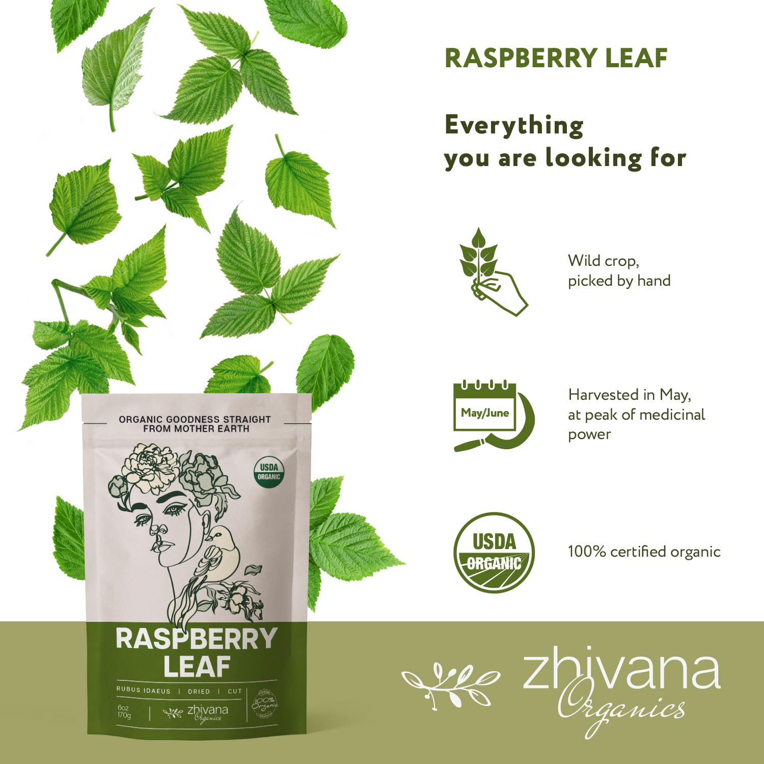 Organic Red Raspberry Leaf Tea Dried Cut & Sifted - 6 oz - Zhivana Organics