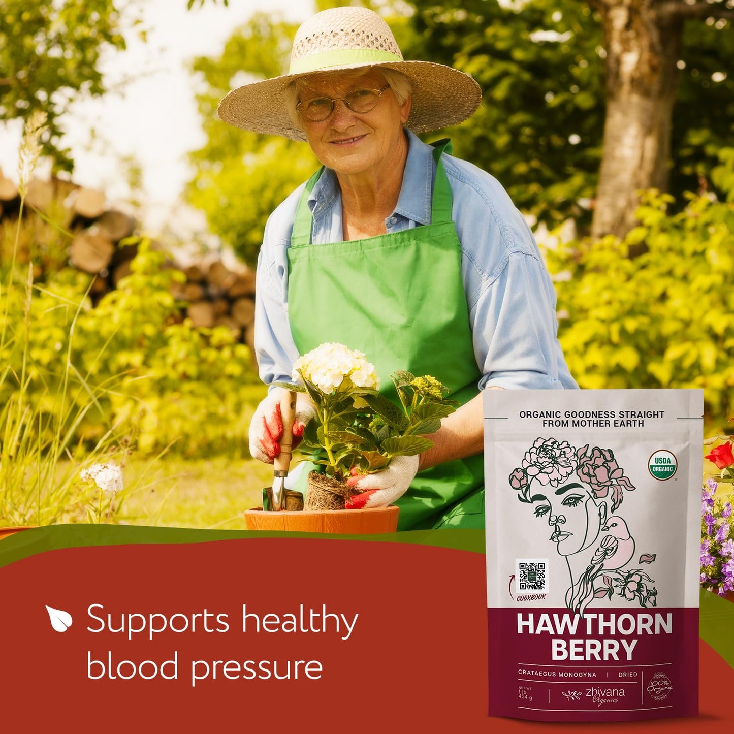 Organic Hawthorn Berry Tea (Pack of 4) - 4 LB