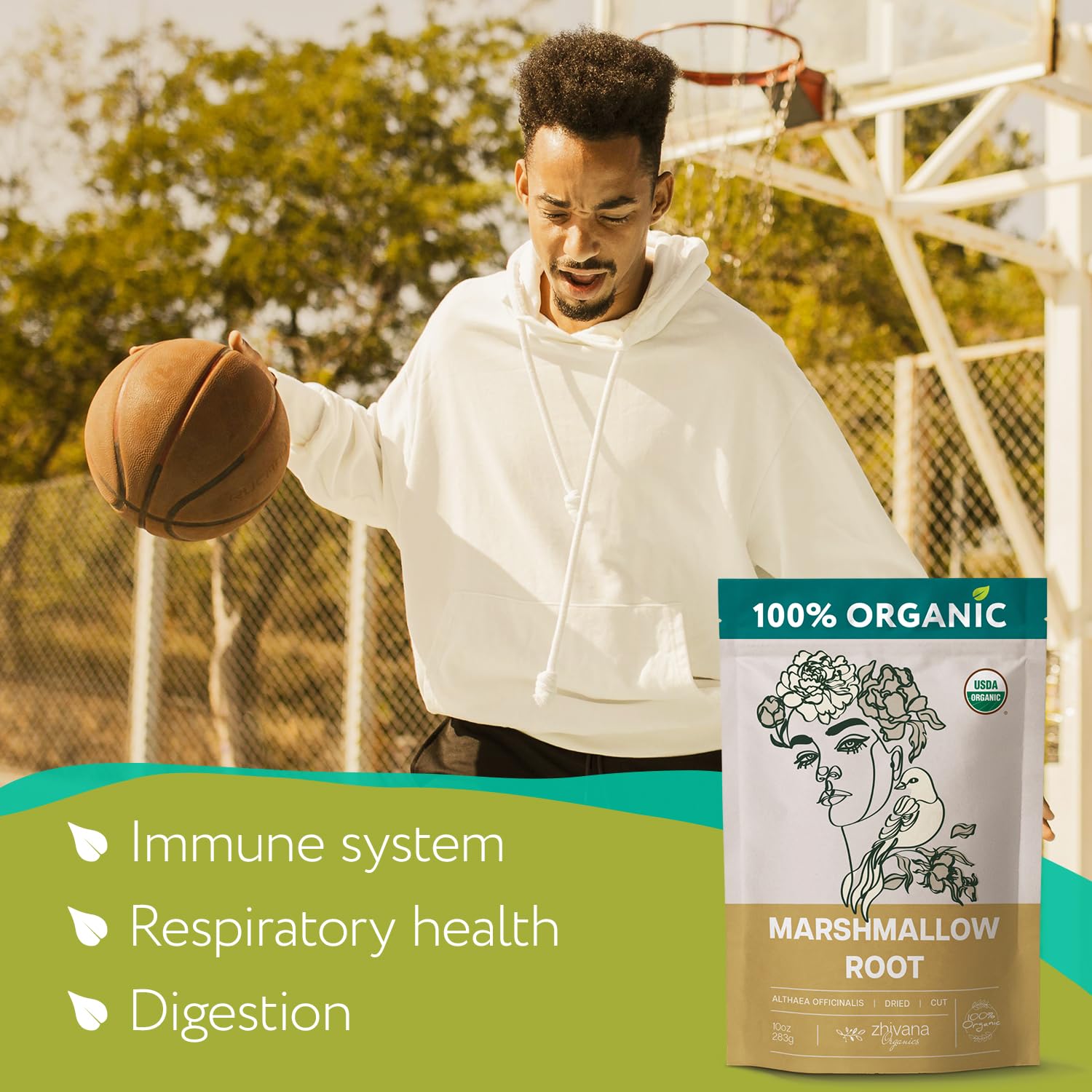 Organic Marshmallow Root Dried Cut & Sifted - 10 oz – Zhivana Organics