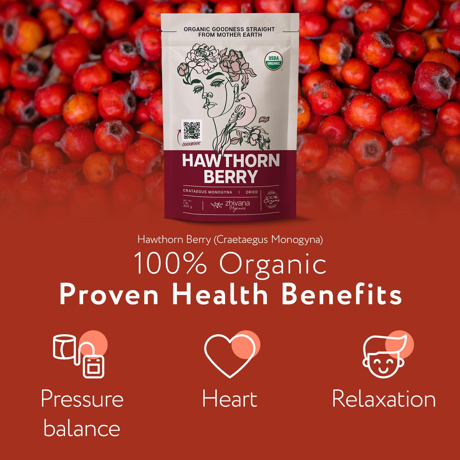 Organic Hawthorn Berry Dried - 1 LB – Zhivana Organics