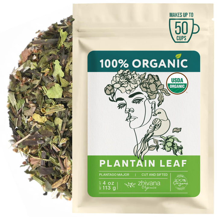 Organic Plantain Leaf Tea - 4 oz – Zhivana Organics