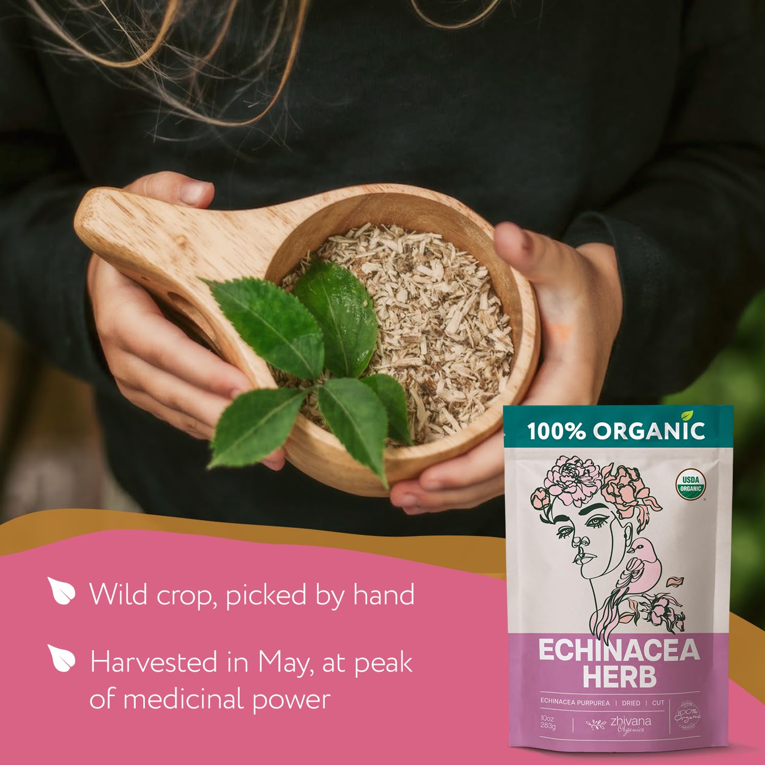 Organic Echinacea Leaf Tea - 5 LB - Zhivana Organics