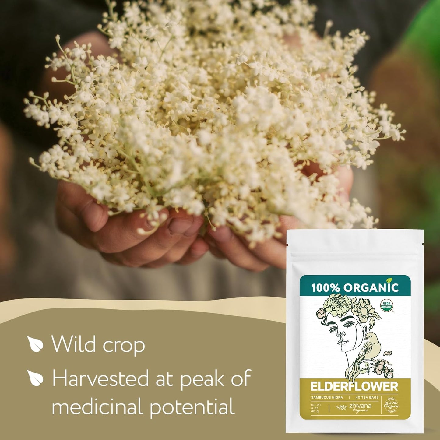 Organic Elderflower Tea (40 Tea Bags) - Elder Flowers Tea for Respiratory Health, Immunity - Herbal TeaBags for Cold Weather Days - Seasonal Blend - Te de Flor de Sauco - Zhivana Organics