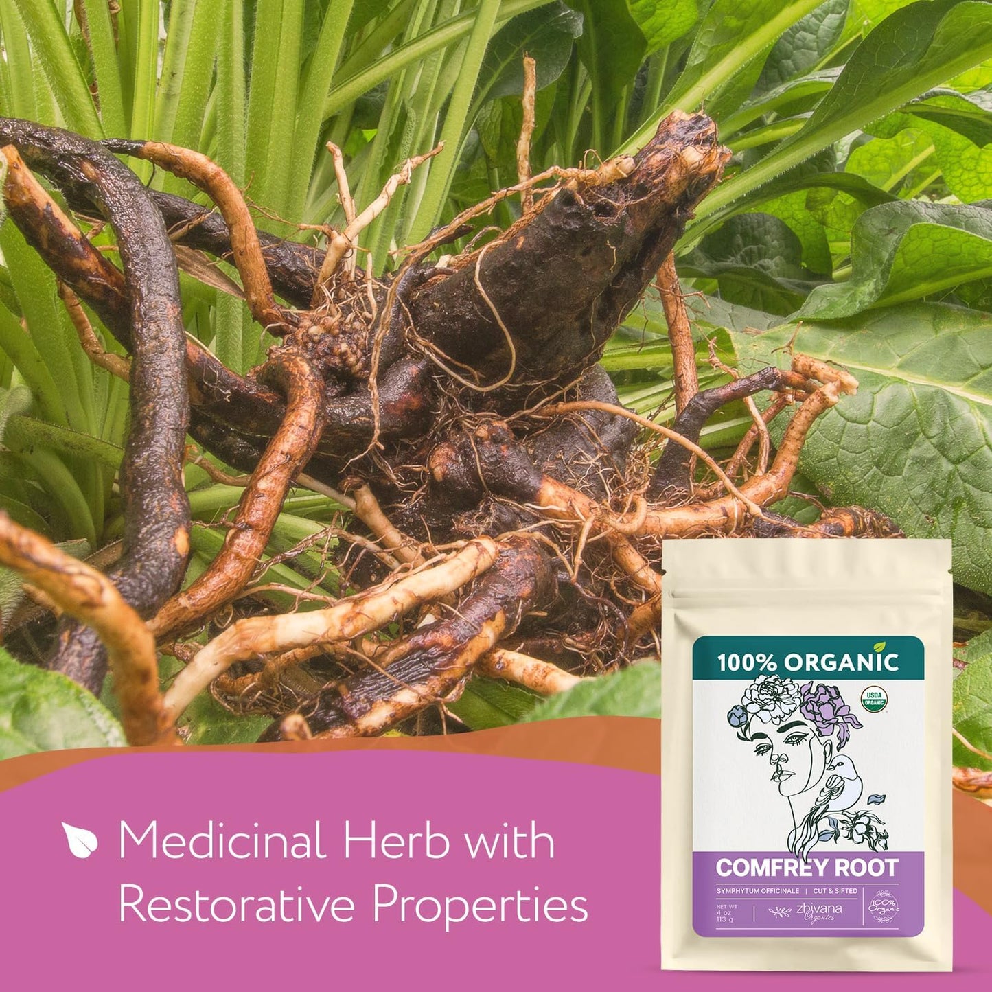 Organic Comfrey Root - 4 oz - Zhivana Organics