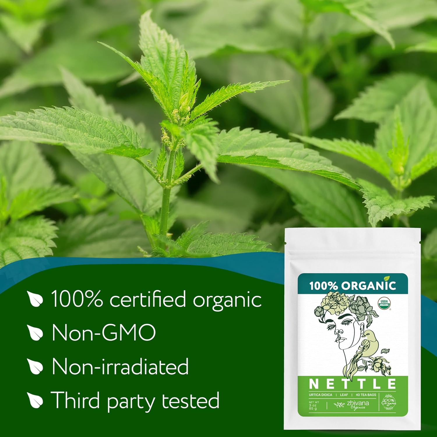 Nettle Tea Organic (40 Tea Bags) - Stinging Nettle Leaf TeaBags – Ortiga Tea for Optimal Health, Immune Support, Kidney - Te de Ortiga Organico Natural - Zhivana Organics