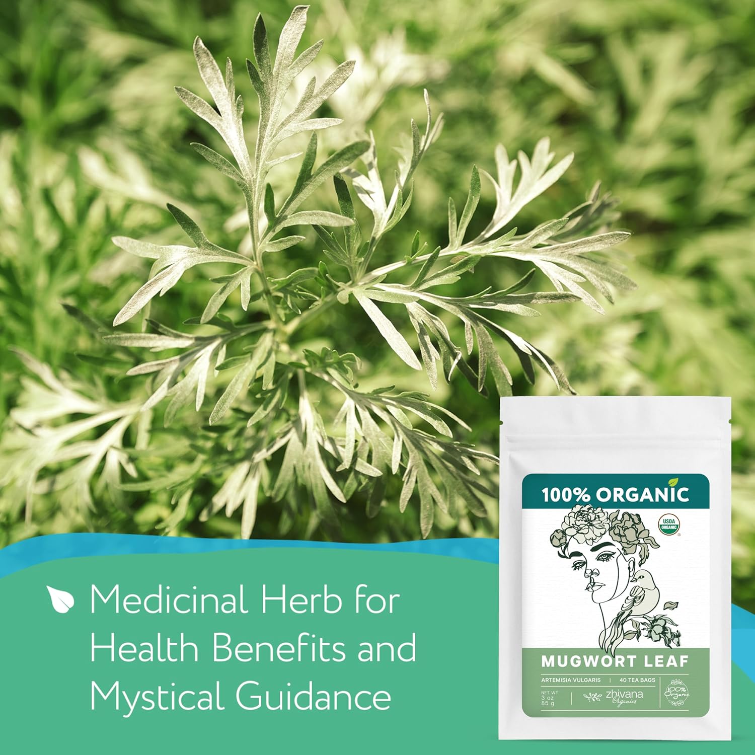 Organic Mugwort Tea Bags (40 TeaBags) – Te de Artemisa - Mugwart Tea for Digestive Health, Liver, Women Cycle, Relaxation (Artemisia Vulgaris) - Zhivana Organics