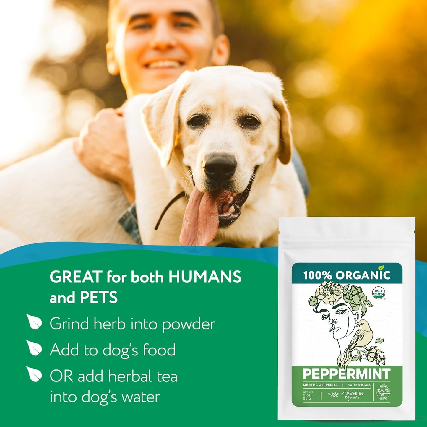 Organic Peppermint Tea Bags (40 TeaBags) - Peppermint Tea Organic - Te de Menta Organico Natural - Herbal Tea for Energy, Digestion, Nausea, Motion Sickness, Respiratory Support, Stress Relief - Zhivana Organics