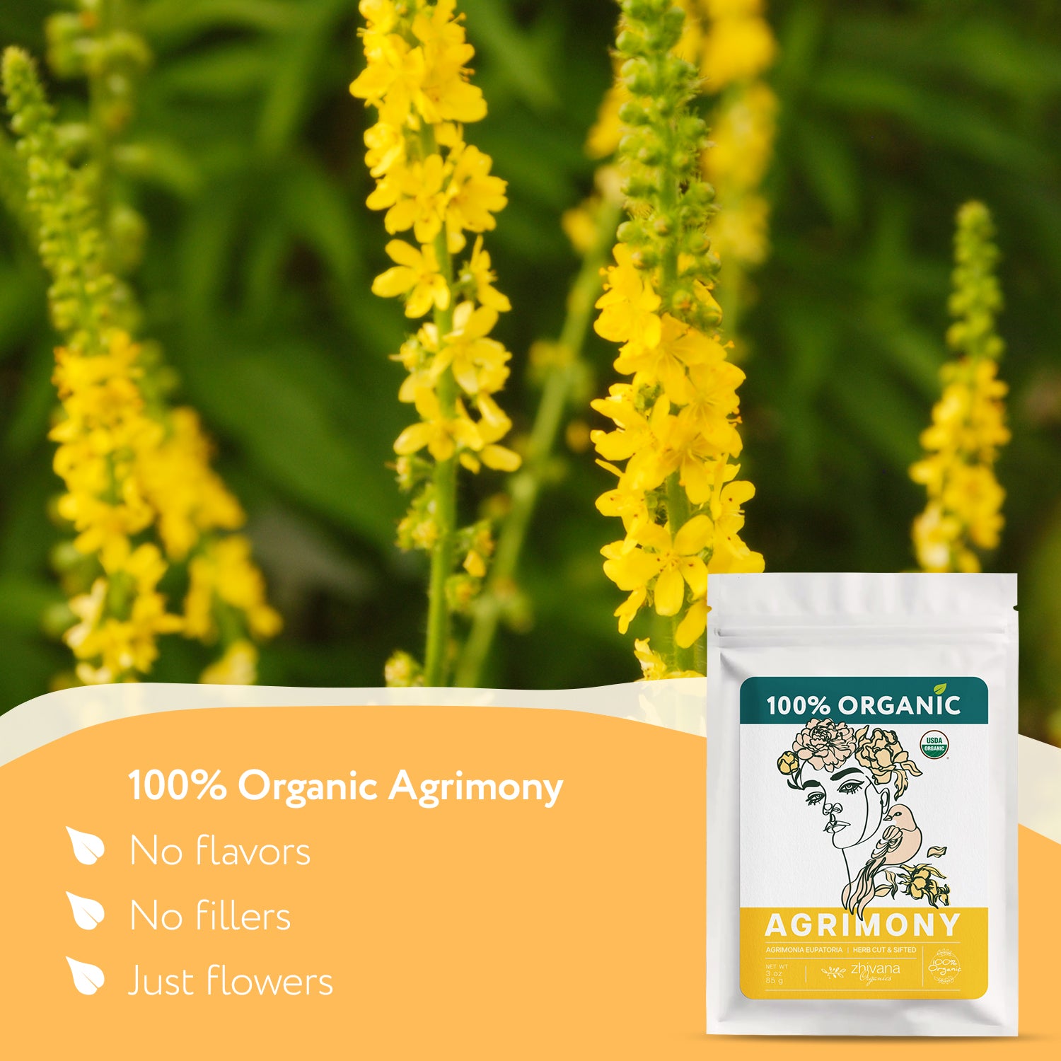 Organic Agrimony Herb (3oz.) - Agrimonia eupatoria – Dried Agrimoney L ...