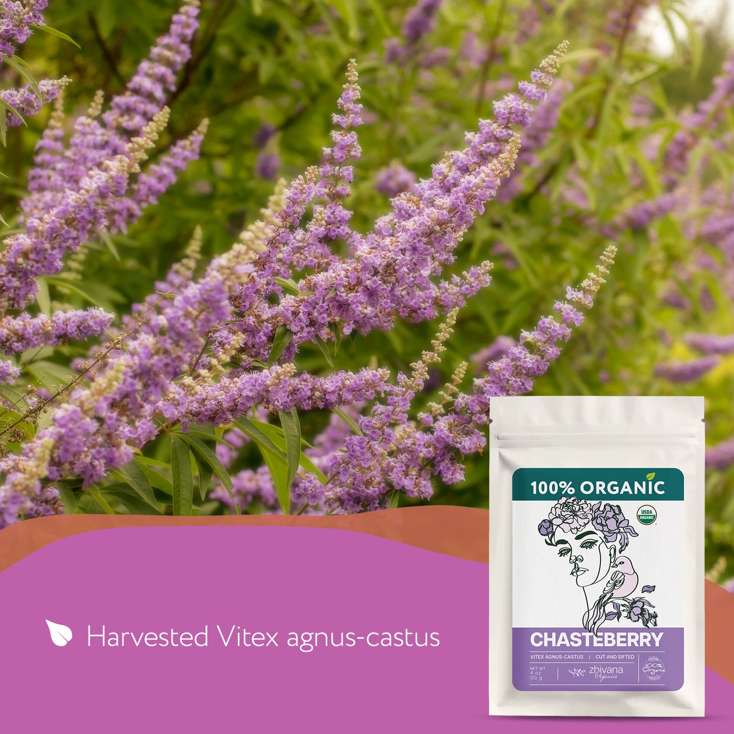 Organic Chasteberry (Vitex agnus-castus) – 5 lb Bulk - Zhivana Organics