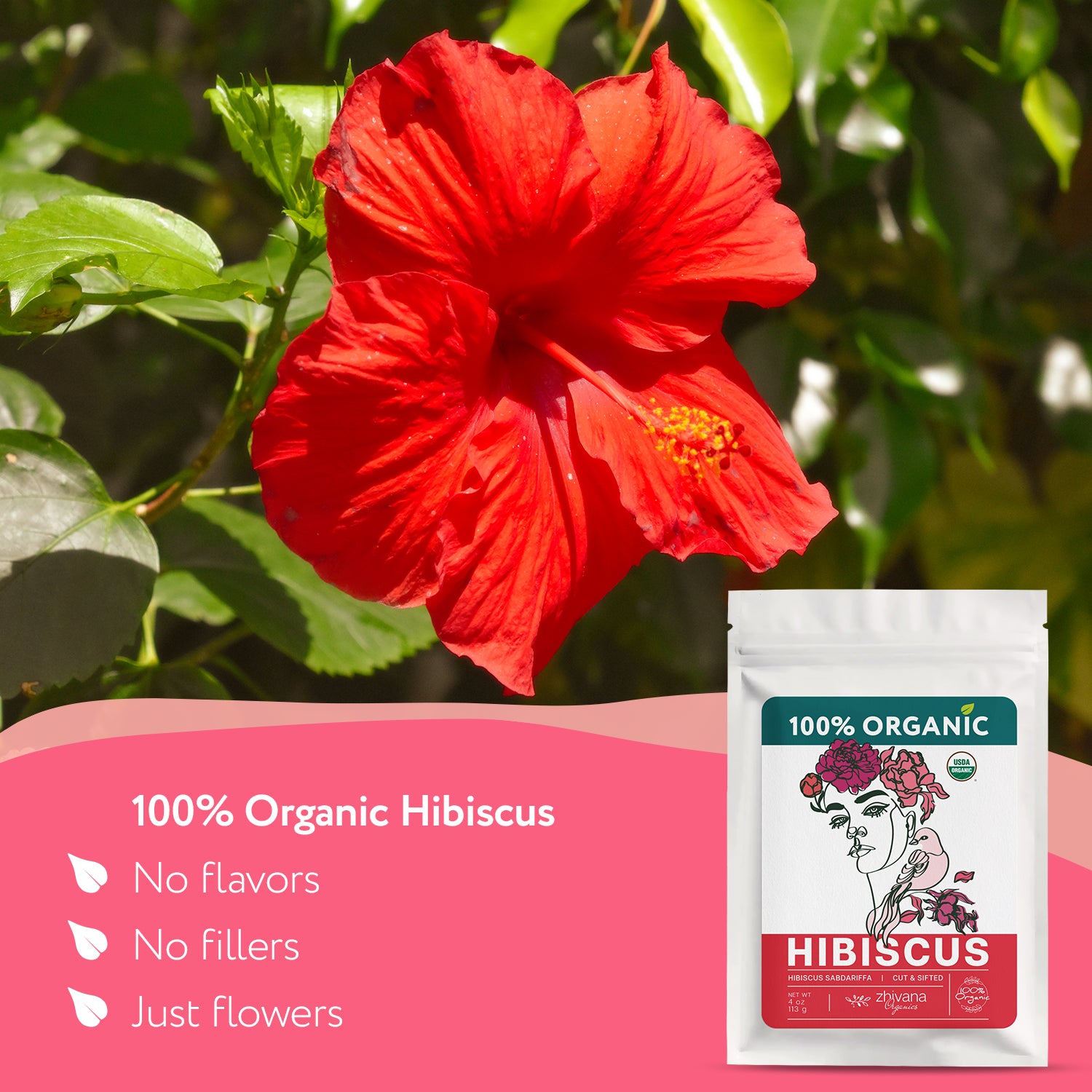 Hibiscus Tea Organic Loose Leaf (4 oz) - Flor de Jamaica Orgánica Natural - Roselle Tea - Té de Hibisco – Agua de Jamaica – Supports Heart Health, Blood Pressure Balance, Liver & Digestion - Zhivana Organics