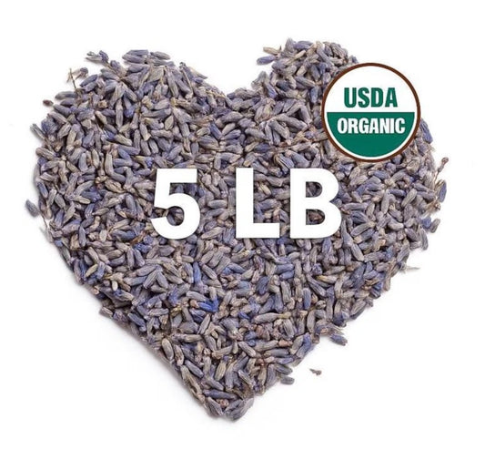 Organic Lavender Buds (Lavandula angustifolia) – 5 lb Bulk - Zhivana Organics