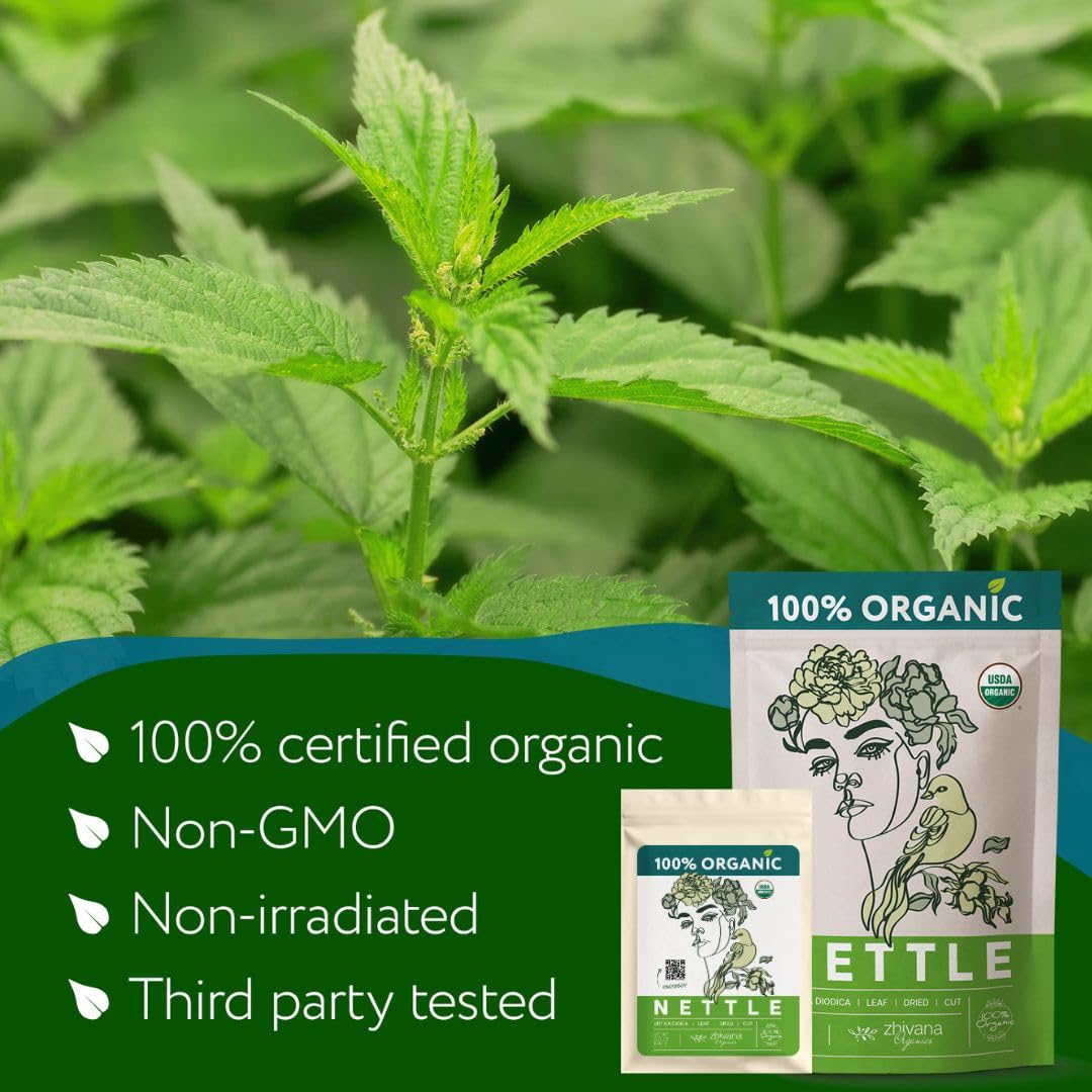 Organic Stinging Nettle Leaf Tea - 5 LB - Zhivana Organics