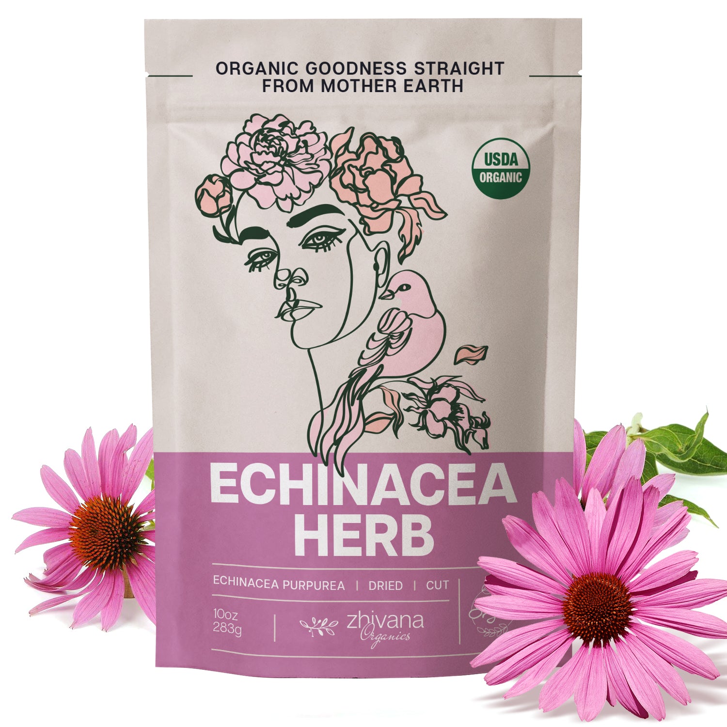 Echinacea Purpurea Herb Dried Cut & Sifted - Zhivana Organics