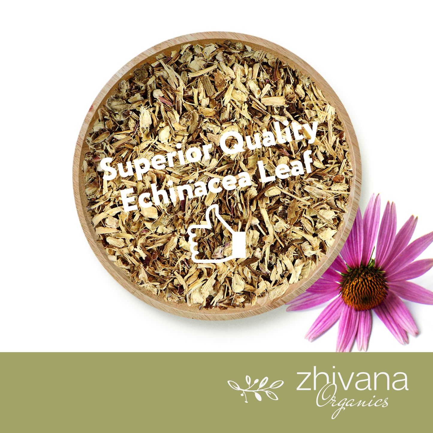 Echinacea Purpurea Herb Dried Cut & Sifted - Zhivana Organics