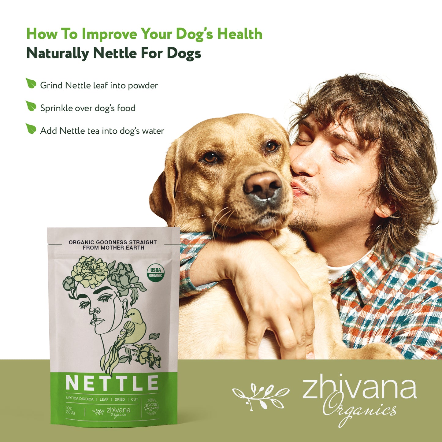 Nettle Leaf Dried Cut & Sifted - Zhivana Organics